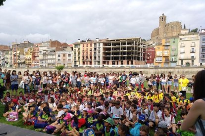 Escolares de Tàrrega plantaron ayer doce moreras. 