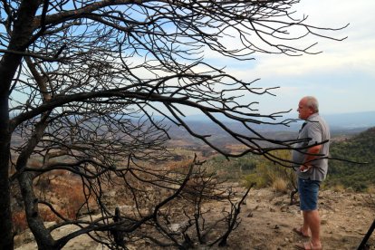 Un arbre cremat a la finca d'Enric Prunera a Flix.