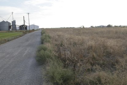 Imatge d’arxiu de terres de l’Incasòl a Almacelles.