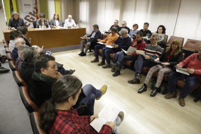 Imagen del pleno del consell del Segrià. 