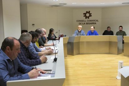 El pleno del consell de la Segarra celebrado este miércoles.