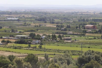 Imatge aèria de l’Horta, on s’utilitzen espantaocells acústics en activitats agrícoles.