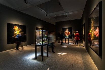 A l’esquerra, exposició de Mat Collishaw a la primavera a Madrid. A la dreta, ‘The End of Innocence’, de la col·lecció de la Fundació Sorigué.