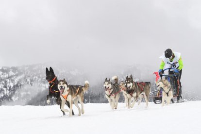 El campionat reuneix 150 participants en les diferents categories.