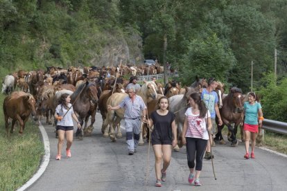 Transhumància de cavalls al Jussà fins a la Vall Fosca