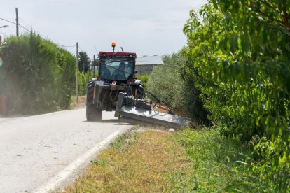 La Paeria desbrossa marges de 26 quilòmetres de camins de l’Horta