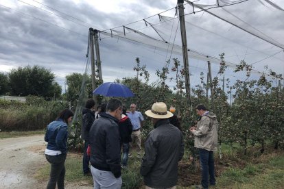 Un moment de la visita efectuada dimarts a finques de poma de Girona.