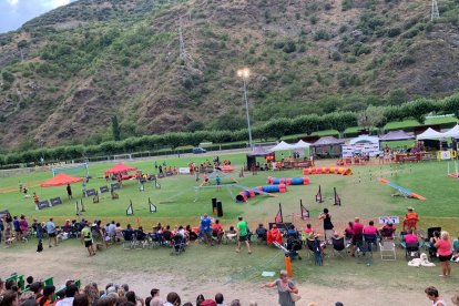 Prop de 300 gossos d’Europa, a la Rialp Summer Agility