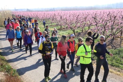 La floració d'Aitona atreu unes 15.000 persones