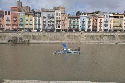 Balaguer retira les algues del riu per a la celebració de la Transsegre