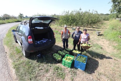 Grans i petits van participar en la recol·lecció i van omplir els cistells de fruita.