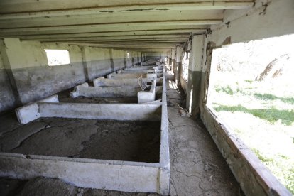 Els edificis de l’antiga Granja Militar de Rufea porten anys abandonats i en estat de ruïna.