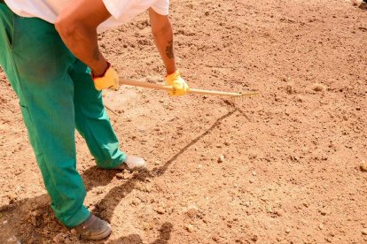 El projecte ofereix itineraris d’inserció personalitzats.