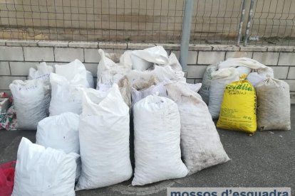 Imagen de los sacos de almendras que los Mossos han recuperado. 