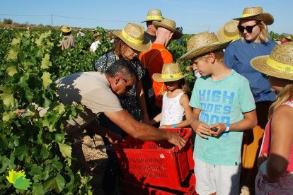 Participantes en la vendimia del sábado pasado en Gandesa.