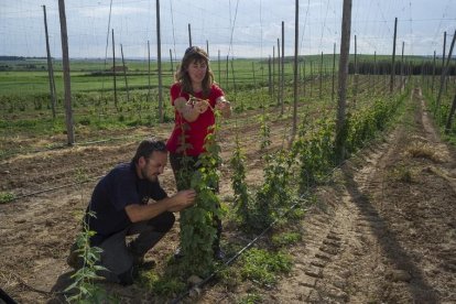 Agricultura aprova ajuts per a 102 joves emprenedors agrícoles a Lleida