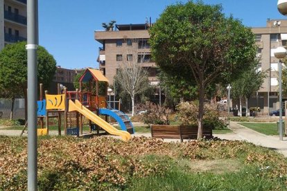 Imagen de la vegetación seca en la plaza Clara de Campoamor.