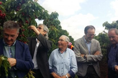 Olona y Ansón, a la izquierda, y Jose Luis Pérez, a la derecha, en una finca de cerezos de Fraga.