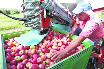 La fruita es troba entre els articles que més han pujat.