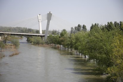 El Segre a su paso por Lleida llevaba ayer más 104 metros cúbicos por segundo.