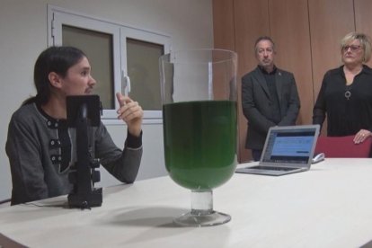 Solé mostra l’elaboració d’espirulina en una base de cultiu.