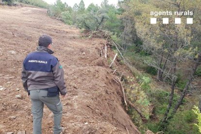 Imatge d’un rural a la zona de la rompuda al terme d’Abella de la Conca.