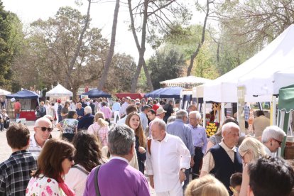 L’Aplec del Castell del Remei va reunir més d’una vintena de parades de productes artesans.