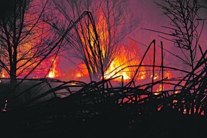 El incendio pudo verse desde buena parte del barrio de Cappont.