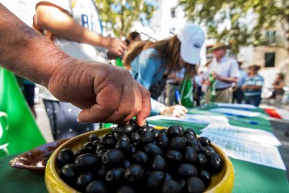 L’oliva negra va ser la primera víctima dels aranzels.