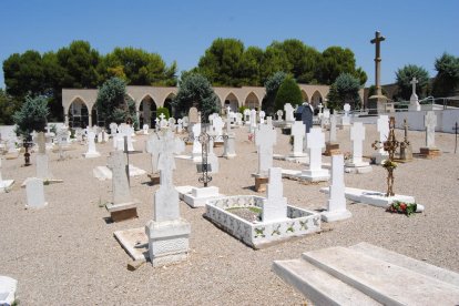 Imagen del cementerio de Miralcamp.