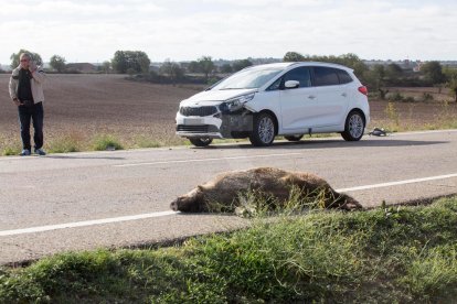 Imatge d'arxiu d'un cotxe danyat al col·lidir amb un senglar a la Segarra.