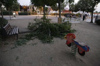 Ferida un nena en caure-li una branca a la Rambla d'Aragó