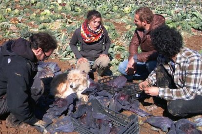 Habitants del poble segovià de Valdivielso, a l’hort.