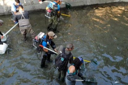 Operaris durant el rescat al canal de Sossís.