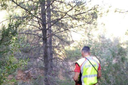 La unitat canina dels Bombers de Ribagorça, durant el rescat.