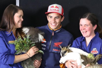 Marc posa con un koala y un canguro en manos de sus cuidadoras.