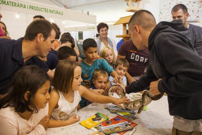 La Fira del Medi Ambient convierte Tàrrega en la capital de la ecología