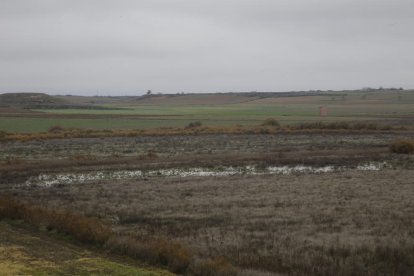 L’aigua que ha sorgit a la llacuna natural del Clot de la Unilla entre Almenar i Alguaire.