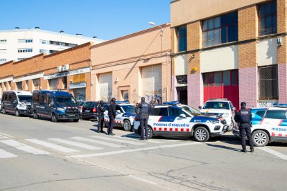 Macro operació contra el cultiu i tràfic de marihuana a Lleida