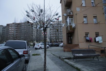 Árboles ‘adornados’ con latas de cerveza en Balàfia