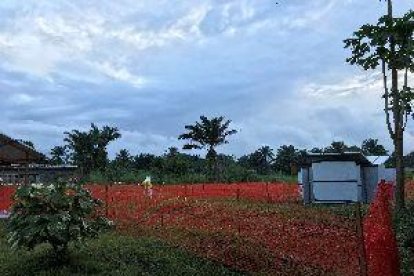 Científics kenians asseguren haver descobert dos vacunes contra l'ebola