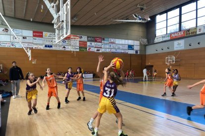 El Torneig Mini ya tiene finalistas  - El torneo de La Seu d’Urgell cerrará hoy una nueva edición con dos finales sin representación leridana, ya que el Sedis femenino cayó en semifinales ante el Sagrat Cor (32-70), y el Pardinyes corrió la  ...