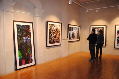 L’exposició ‘El jardí d’humus’ de Manel Esclusa.