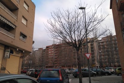 Retiran las latas de cerveza que ‘decoraban’ dos árboles en Balàfia