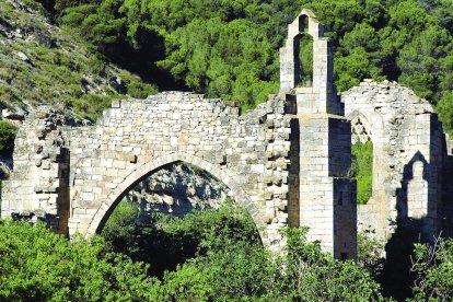 Llibres, roures i oliveres