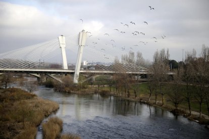 Lleida lució ayer sol y cielo depejado durante algunas horas.