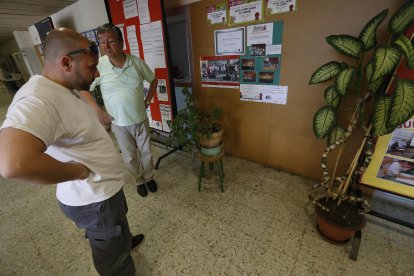 La colonia de termitas apareció ayer al mediodía en estos plafones que hay en la zona de despachos de los profesores. 