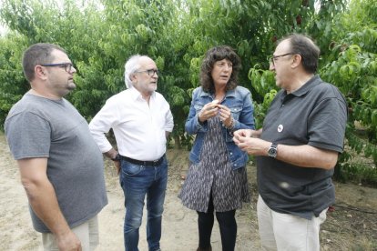 La consellera Jordà visitó ayer un campo de platerina en Seròs.