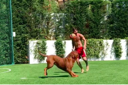 Messi, jugant al jardí de casa seua amb el seu gos Hulk.