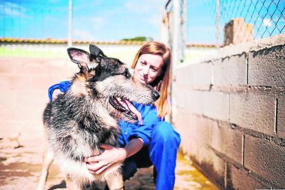 Estar con los animales, la clave de los voluntarios. 